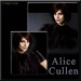 Alice Cullen (18)